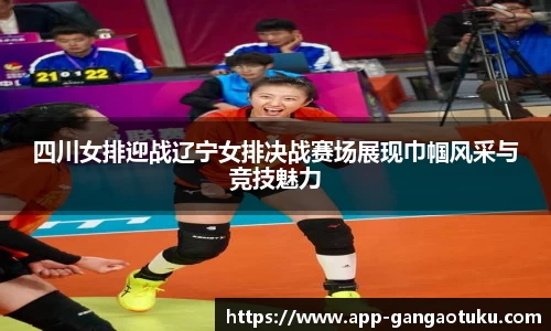 四川女排迎战辽宁女排决战赛场展现巾帼风采与竞技魅力