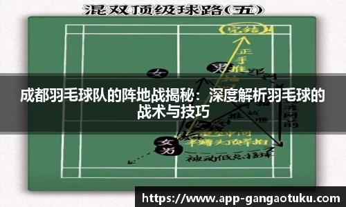 成都羽毛球队的阵地战揭秘：深度解析羽毛球的战术与技巧